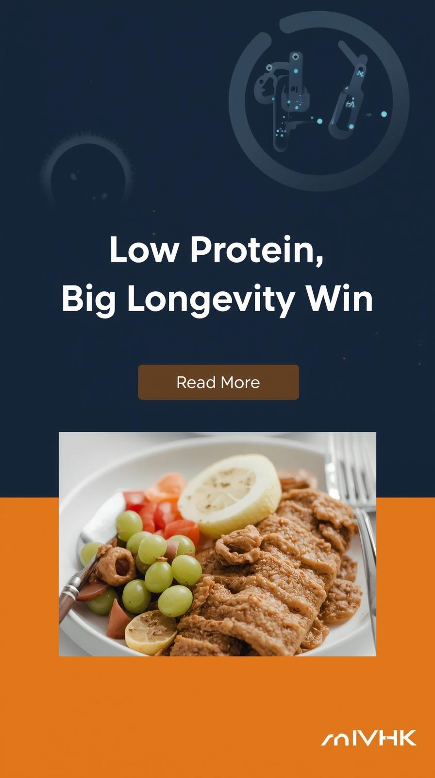 different meal like meat steak, cucumber, potatos