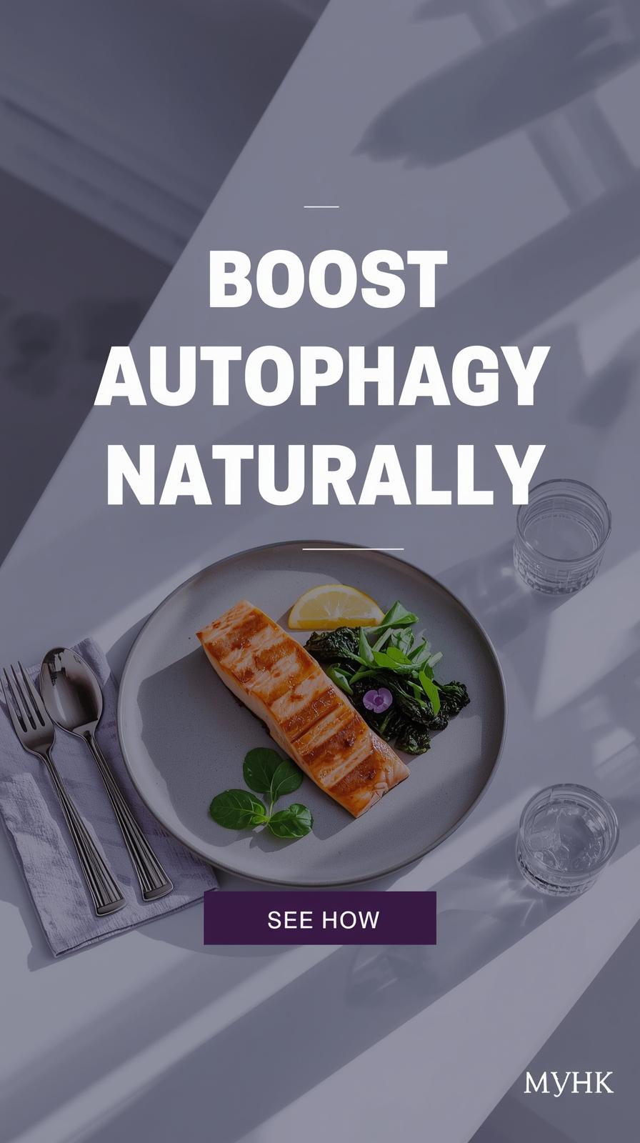 Half-portion healthy meal with salmon and greens on minimalist plate – calorie reduction for autophagy