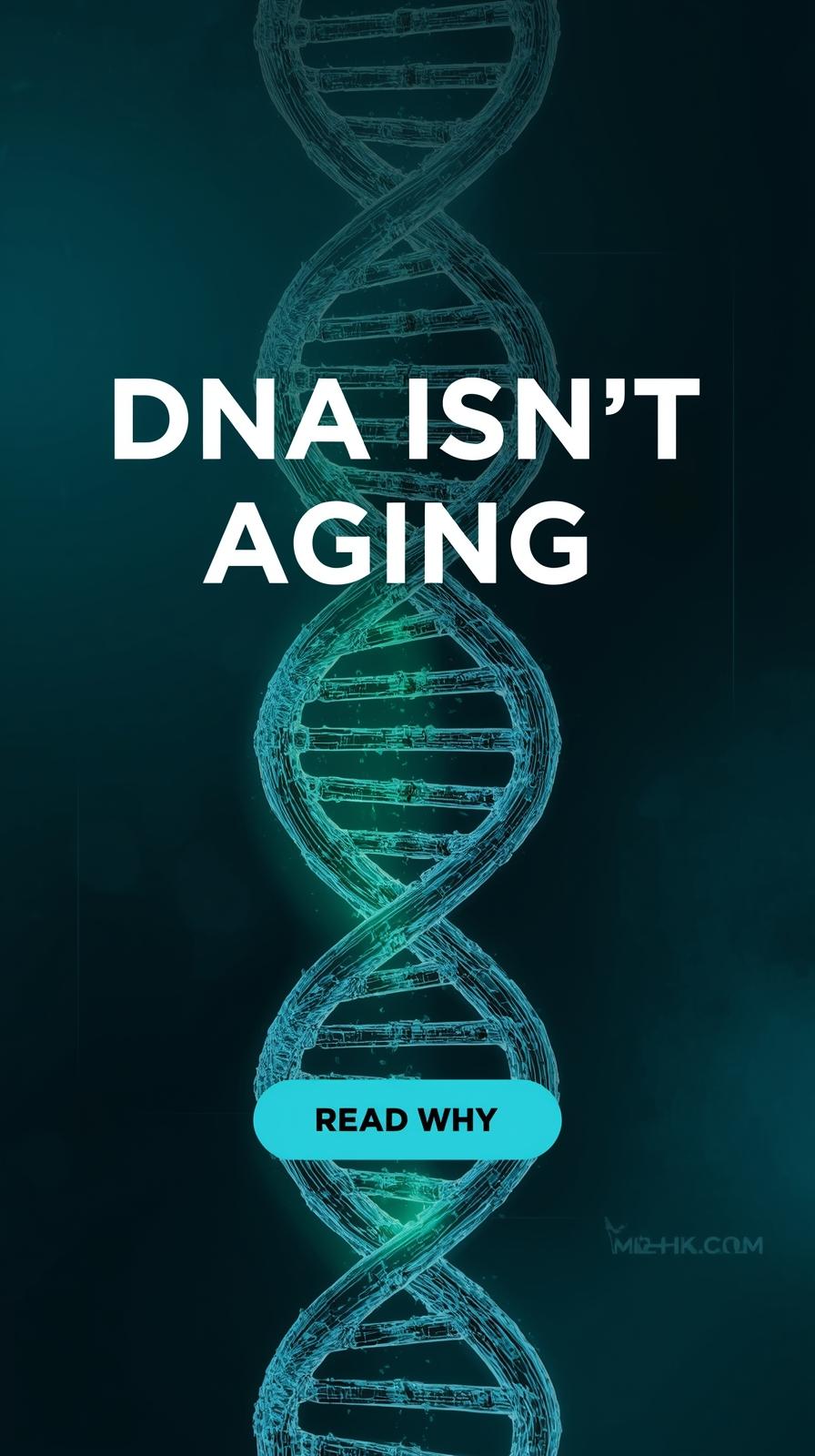 Epigenetic aging diagram showing DNA and chromatin structure