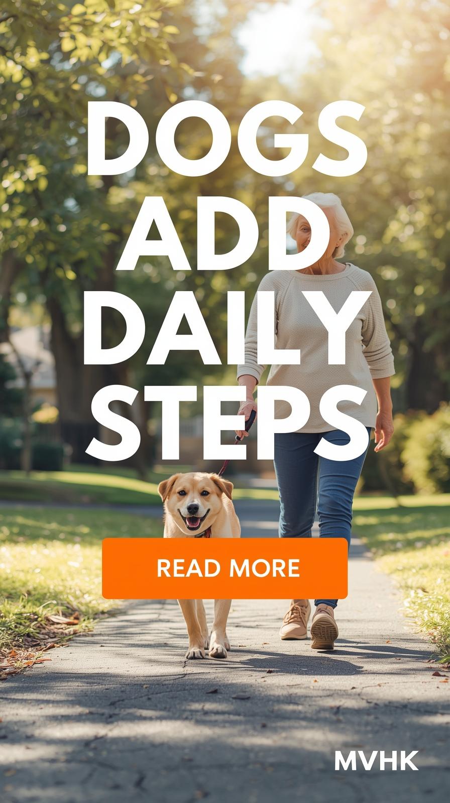 older adult walking dog for longevity and daily movement