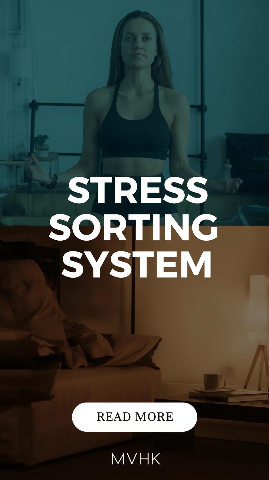 Stress sorting system showing resistance training, reduced notifications, and intentional recovery