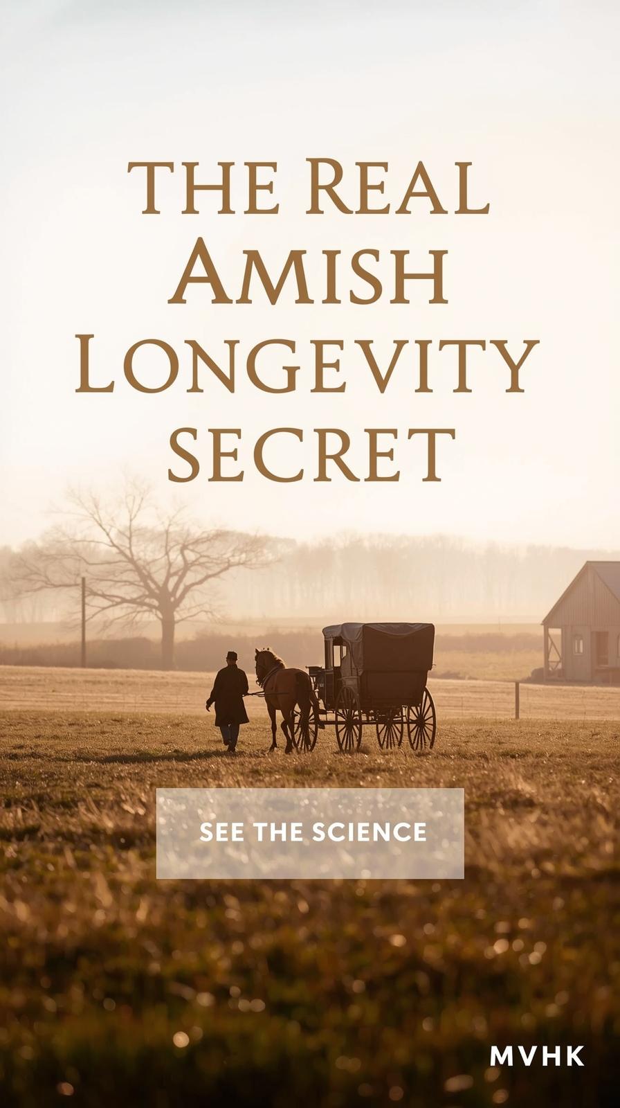Amish man walking beside buggy illustrating Amish longevity movement patterns