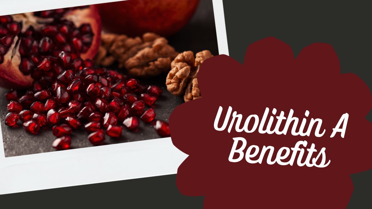 Pomegranate seeds and walnuts — urolithin A immune aging research