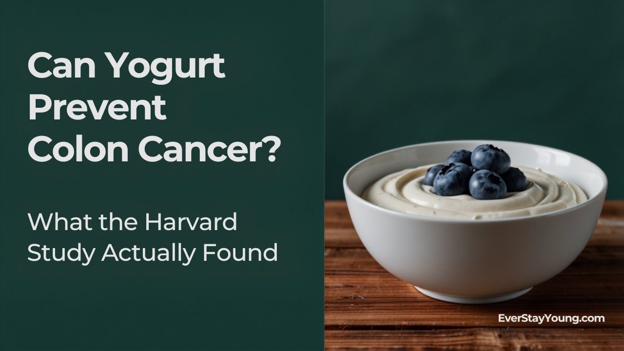 Plain yogurt in ceramic bowl representing gut health and colorectal cancer research